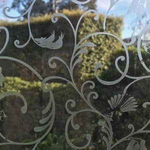 TGR Tui and Fantail MAINLY CLEAR