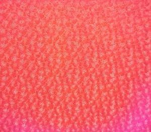 FLORANTINE
