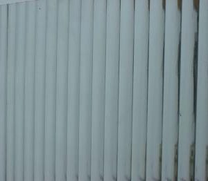BROAD REEDED