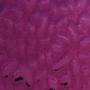 English Muffle - Clover Blossom