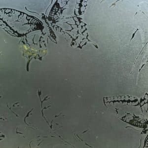 TGR Butterflies