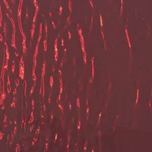 Berry Ripple Mirror