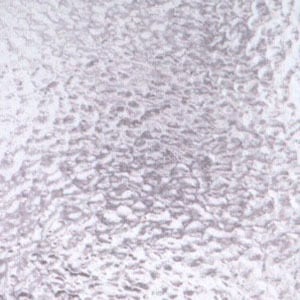 Clear Corrella