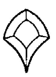 Top Piece for Tulip