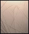 Light Brown Artista Mini Hobby 250x125mm
